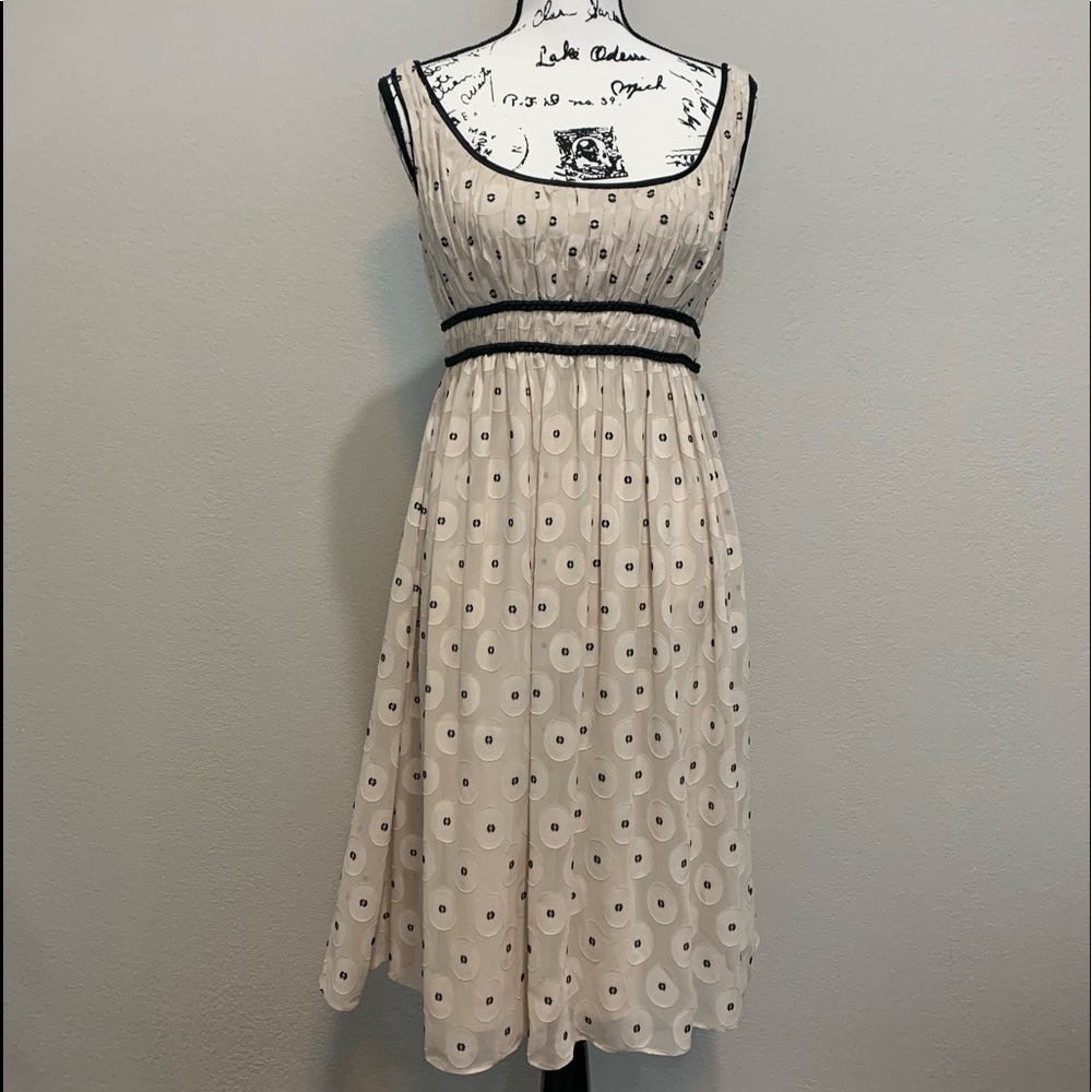 Adrianna Papell Cream and Black Dress